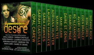 BikerBoxSet_web_black