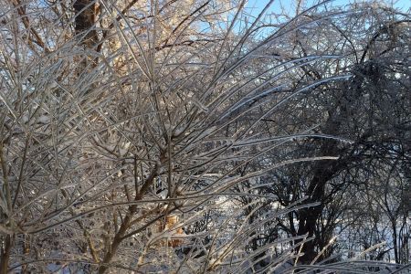 Ice Storm