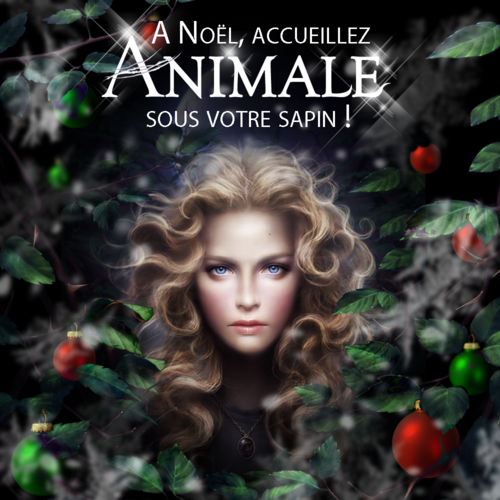Animale de Victor Dixen - Noël.png