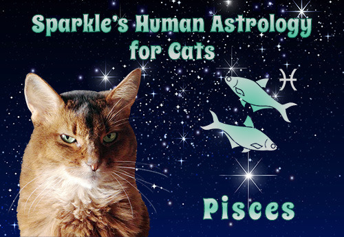 Sparkle's Human Astrology for Cats - Pisces