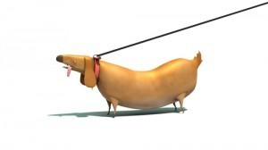 Sausage Dog by arjhun of customize.org