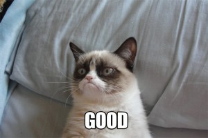 tard-grumpy-cat-good-sad-1352988561_zps82192cb9