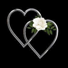images1_zps57b6cc72