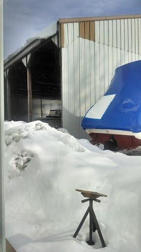 snow1