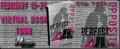 Perfect Opposite Banner 450 x 169_thumb[1]