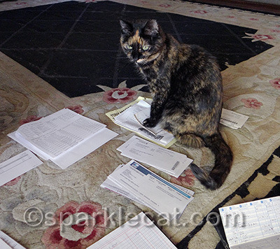 Binga will be bummed when she starts using Quickbooks