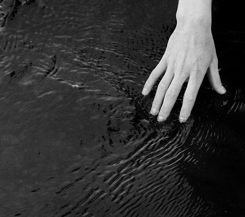 Photo by Kristaps Bergfelds ~flickr