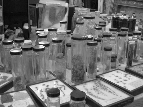 preservation