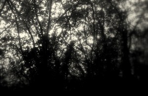 5107259690_268f0e4c8e_o