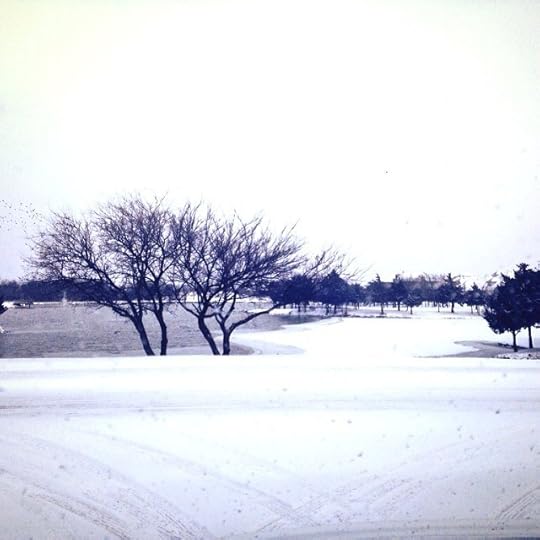 706a79d48fb211e3976812ea60f10a0e_8