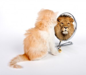 perception vs reality at work