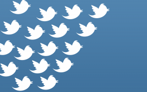 dark-blue-bird-flock