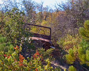 grpx_071020_047