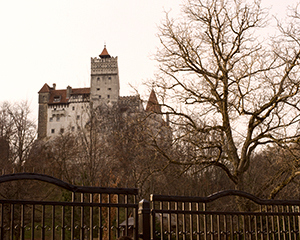GRPX_131228_277