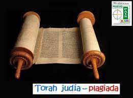 tora judia plagiada