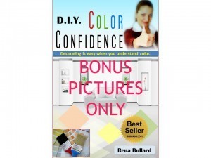 bonus DIY_CC_Front_Cover Payloadz
