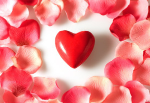 Valentine_livfriis