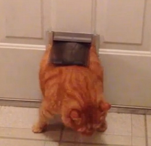 squeeze