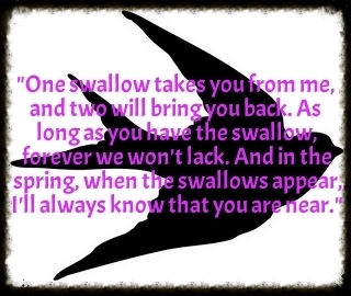  photo e6fd1ae8-7899-4c66-97f1-edddf14ce362.jpg