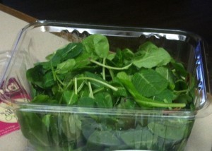 Greens - baby spinach, baby kale , chards and beet tops mix