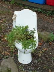 toilet