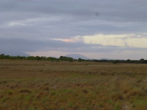 P1010561