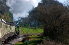 train