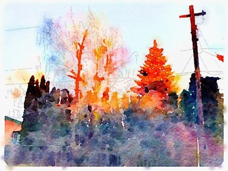 Painted in Waterlogue