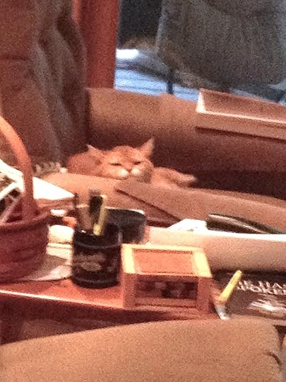 Mutzie giving us the LOOK