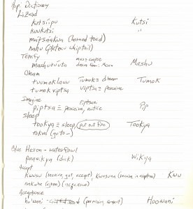Anasazi Novels Character Names from Hopi Language Dictionary