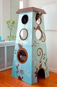 Refined_Feline_Catemporary_Castle_Review