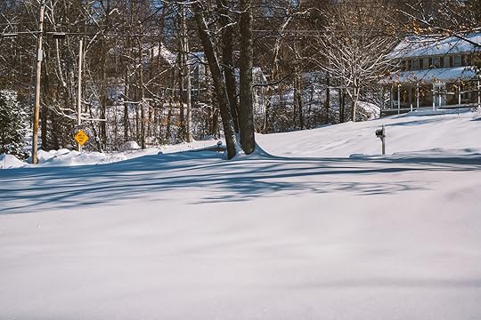 snowyneighborhood