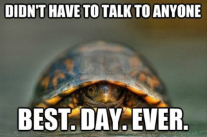 Turtle Day