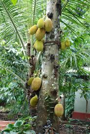 index.jpg - 16.18 KB 