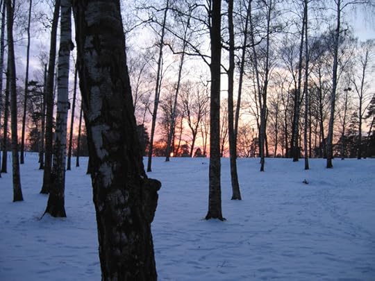 TwilightSnowSibelius Pk2