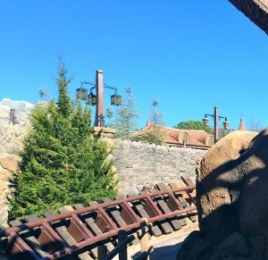 View from the tracks of the Seven Dwarfs Mine Train