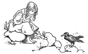 Illustration by Honore Appleton