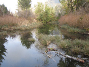 Rainforest Writers Retreat, Lake Quinault
