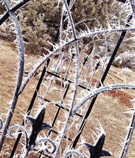 Winter Arbor3
