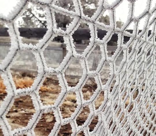 WInter Fence4