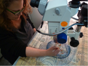 Figure Four: Susan Peckham testing solubility