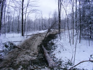 file5411297239569