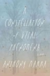 A Constellation of Vital Phenomena by Anthony Marra