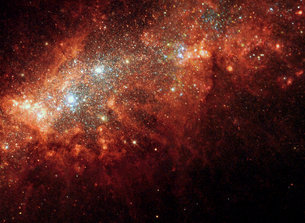 stars