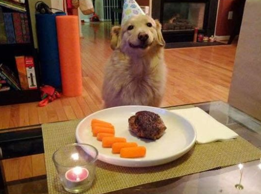 For Anyone Having a Bad Day