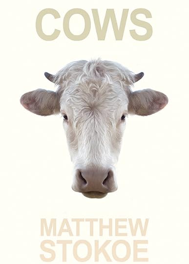 Cows-matthew-stokoe.jpg