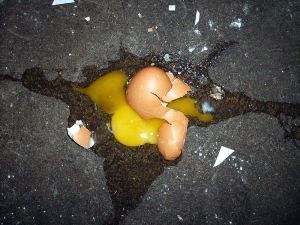 egg