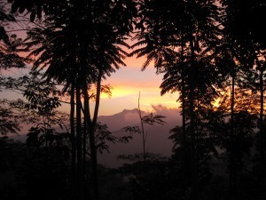 IMG_7774 (2500x1875) (1)