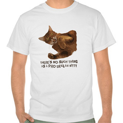Truth on a T-Shirt
