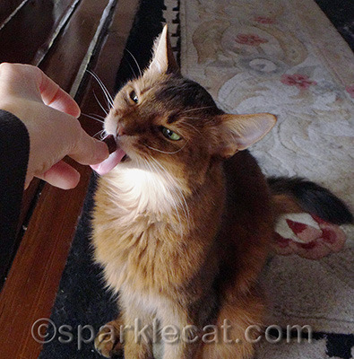 I liked licking these!